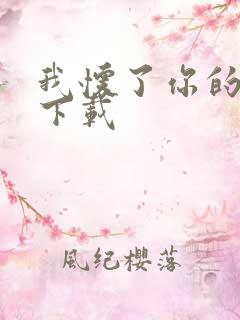 我怀了你的孩子下载