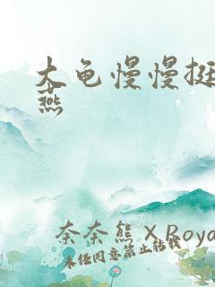 大龟慢慢挺进张燕