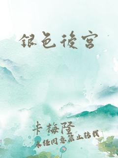 银色后宫