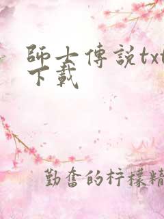 师士传说txt下载