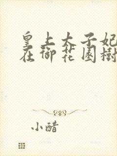 皇上太子妃沈音在御花园树上