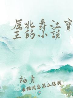 厉北爵江宝宝男主的小说