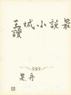 王城小说最近阅读