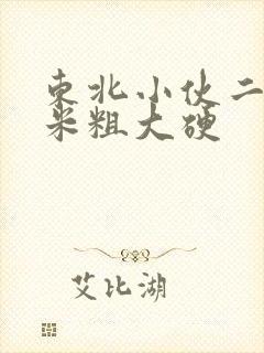 东北小伙二十厘米粗大硬