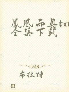 凤凰面具txt全集下载