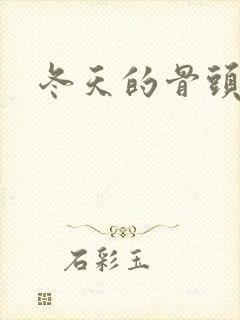 冬天的骨头下载