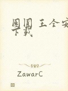 团圆 王全安 下载