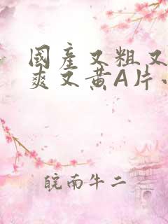 国产又粗又猛又爽又黄A片小说