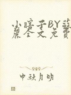 小瞎子BY苏玛丽全文免费笔趣阁