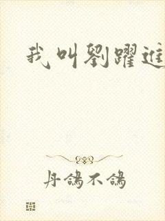 我叫刘跃进下载