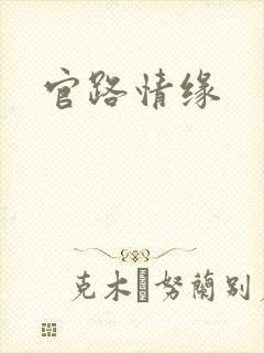 官路情缘