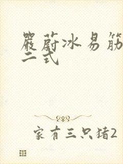 严蔚冰易筋经十二式