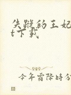 失踪的王妃txt下载