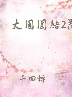 大团圆结2阅读