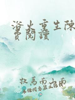 浴火重生陈风免费阅读