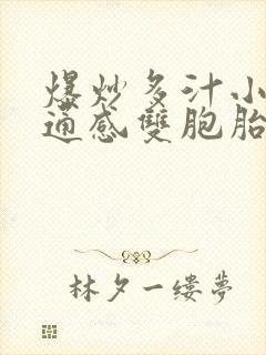 爆炒多汁小美人通感双胞胎