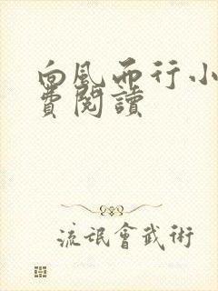 向风而行小说免费阅读