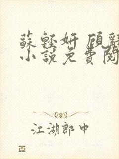 苏轻妍 顾辞笙小说免费阅读