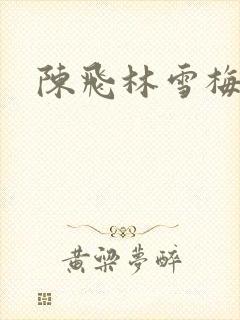 陈飞林雪梅