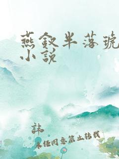 燕钗半落琥珀糖小说