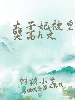 太子妃被皇上c哭高h文