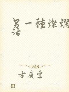 另一种灿烂的生活