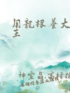 用龙根养大的公主