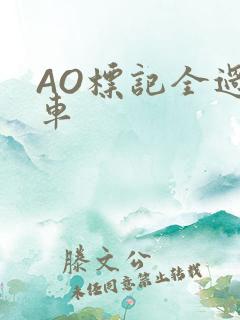 AO标记全过程车