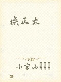 操正太