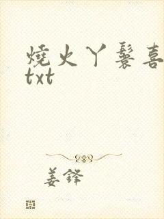 烧火丫鬟喜洋洋txt