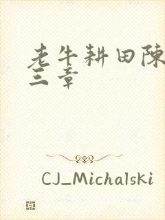 老牛耕田陈雪第三章