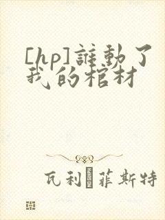 [hp]谁动了我的棺材