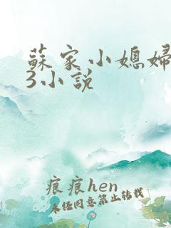 苏家小媳妇1V3小说