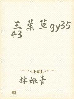 三叶草gy3543