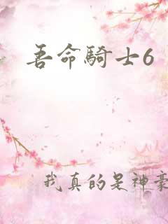 吾命骑士6