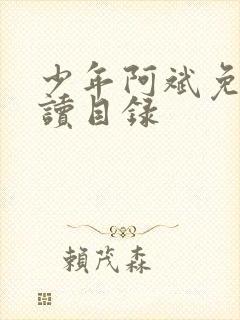 少年阿斌免费阅读目录