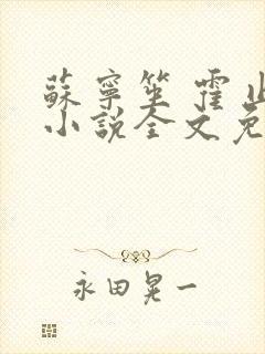 苏宁笙 霍止行小说全文免费阅读