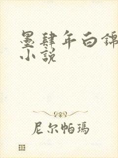 墨肆年白锦瑟 小说