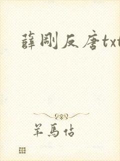 薛刚反唐txt