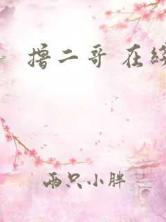 撸二哥 在线