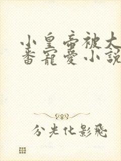 小皇帝被大臣轮番宠爱小说