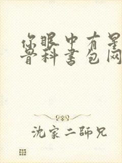 你眼中有星辰h骨科书包网