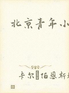 北京青年小说