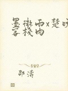 墨微雨x楚晚宁客栈肉