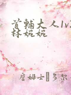 首辅大人1v2林婉婉