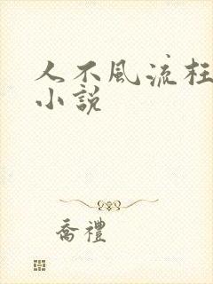 人不风流枉少年小说