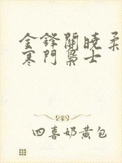 金锋关晓柔小说寒门枭士