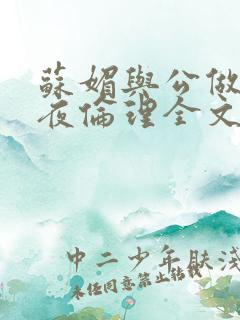 苏媚与公做了一夜伦理全文阅读