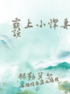 霸上小悍妻 小说