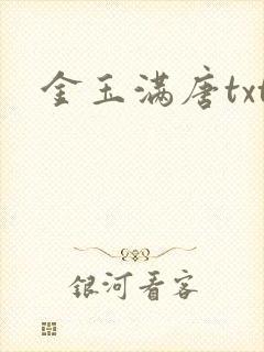 金玉满唐txt